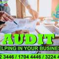 Audit Helping In Your Business