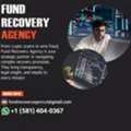 Professional Support For Online Fraud Recovery