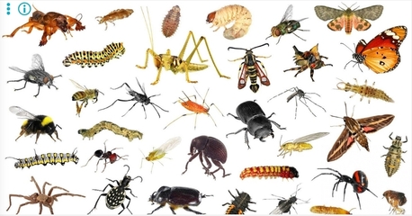 Al Malaz, Relocation, Al Malaz, Labor/Moving, HOME❤️SHIFTING❤️MOVER❤️PACKER❤️CLEANER❤️TOTALSOLUTION.0534664074