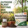 Outdoor Potting Mix Experts &ndash; Keltech Energies