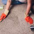 Carpet Cleaning In Chandigarh For Spotless Floors