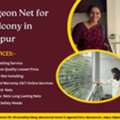 Durable Pigeon Net For Balcony In Jaipur