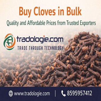 Mumbai, Food, INR 2,  Buy Cloves In Bulk &ndash; Quality And Affordable Prices From Trusted Exporters