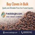 INR 2,  Buy Cloves In Bulk &ndash; Quality And Affordable Prices From Trusted Exporters