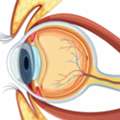Microincision Cataract Surgery In Dubai Experts