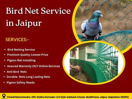 Jaipur, Business, Trusted Bird Net Service In Jaipur With Warranty Protection