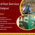 Trusted Bird Net Service In Jaipur With Warranty Protection