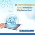 Are Shopware Development Agency Services Cost-Effective Long-Term?