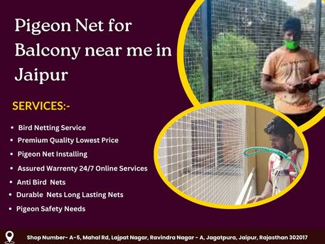 Jaipur, Business, Best Pigeon Net For Balcony Near Me In Jaipur