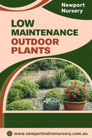 Sydney, Farm/Garden, Low Maintenance Outdoor Plants - Newport Native Nursery