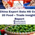 China Export Data HS Code 20 Food &ndash; Trade Insights Report