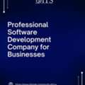 Professional Software Development Company For Businesses