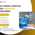 24/7 Animal Hospital For Urgent Pet Treatment