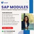 Master SAP Technologies And Become Job-Ready Fast Now