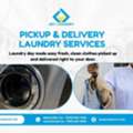 Joy Laundry Pickup & Delivery Near You Today
