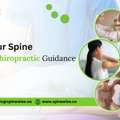 Support Your Spine With Expert Chiropractic Guidance