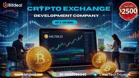 Paris, Business, Crypto Exchange Development That Turns Ideas Into Income &ndash; Start From $2500