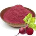 Beetroot Powder Suppliers In Delhi