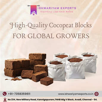 Chennai, Household, Cocopeat Exporter In Chennai For Bulk Supply