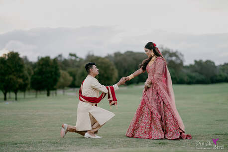 Sydney, Photography, Professional Wedding Photography Wollongong | Purple Bird Photo