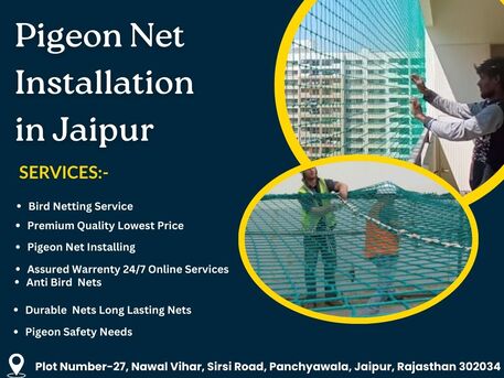 Jaipur, Business, Pigeon Net Installation In Jaipur For Balcony Safety Service