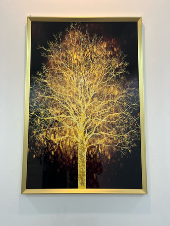 Jeddah, Furniture, SAR 60,  Scenic Wall Frames  For SALE