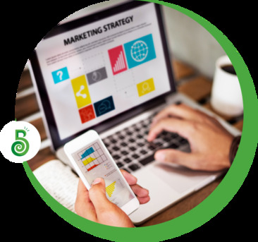 Auckland, Web Design & Development, Digital Marketing Agency In Auckland &ndash; Bright Designs