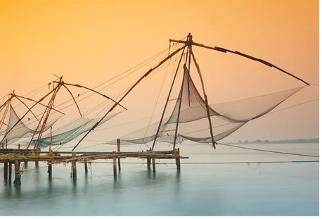 Kerala, Travel, "?5 D?as M?gicos En Kerala! Tour Exclusivo Con Houseboat En Backwaters &ndash; Reserva Ya"