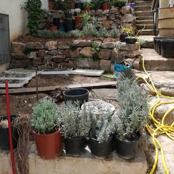 Amman, Apartments/Houses, JOD 6000/year,  Furnished,  1 BR,  Ground Fully Furinshed One Bedroom Apart With Garden In 1st Circle 00962777688956