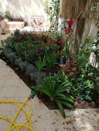 Amman, Apartments/Houses, JOD 6000/year,  Furnished,  1 BR,  Ground Fully Furinshed One Bedroom Apart With Garden In 1st Circle 00962777688956