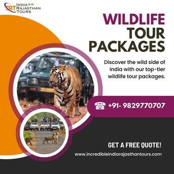 Jaipur, Travel, Explore Incredible India Wildlife Tour Packages Today
