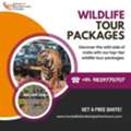 Explore Incredible India Wildlife Tour Packages Today