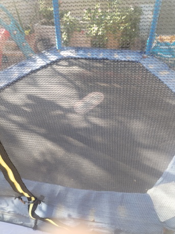 Khobar, Baby & Kid Stuff, SAR 600,  Kids Trampoline For Sale &ndash; Little Tikes