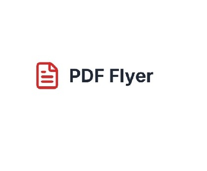 New York, Business, Pdf To Excel Converter App | PDF Flyer