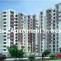 Estimated Apartment Prices And Market Trends In New Delhi
