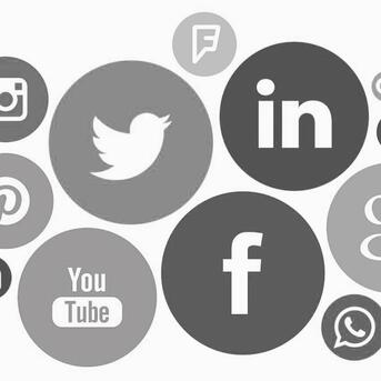 New York, Web Design & Development, Salt Lake SEO Raptor