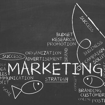 New York, Web Design & Development, Salt Lake SEO Raptor