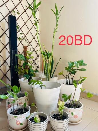 Manama, Household Items, BHD 1,  Moving To Fully Furnished Apartment, Below Items Are Sale