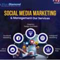 Social Media Marketing Agency In India