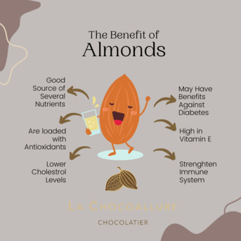 Punjab, Food, INR 299,  Dark Chocolate Almonds At 299 Rs. Only