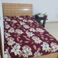 SAR 250,  SAR 250 Two Single &double  Bed Available  For Selling