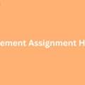 Affordable Management Assignment Help UK: Quality You Can Trust