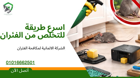 Cairo, Cleaning, مكافحة القوارض | الشركة الالمانية لمكافحة 
