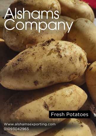 Milan, Farm & Garden, Potato