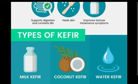 Dammam, Food, SAR 30,  Fresh Kefir Grains