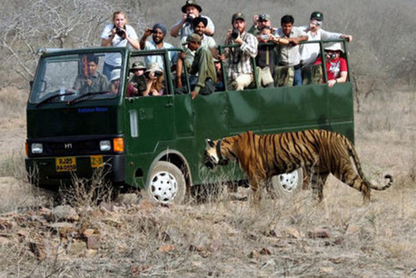Mumbai, Travel, Book Corbett Canter Safari Now &ndash; Confirmed Entry