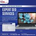 Professional SEO Services In Noida