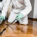 Commercial Pest Control Dubai Marina