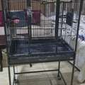 SAR 225,  Bid Bird Cage
