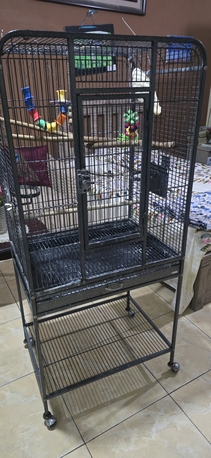 Riyadh, Pet Adoption, Big Bird Cage